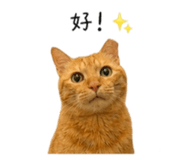 855814251