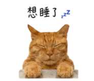 855814252
