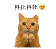 855814256
