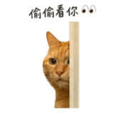 855814258