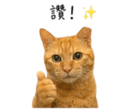 855814260