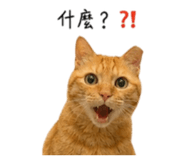 855814262