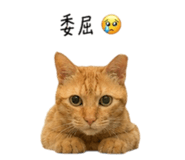 855814265