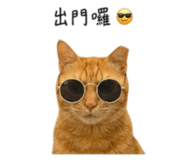 855814267