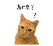 855814270