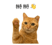 855814272