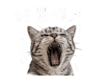 855814859