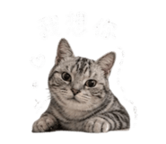 855814862