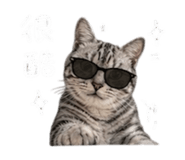 855814867