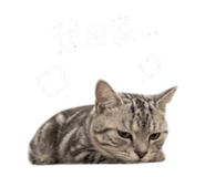 855814868