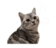 855814875