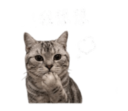 855814876