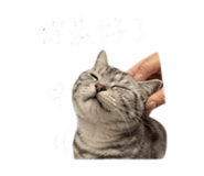 855814883