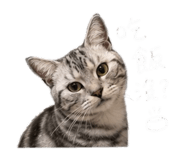 855814884