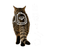 855814886