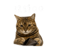 855814890