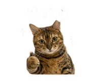 855814893