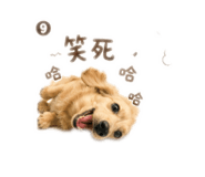 855819574