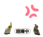 855826096