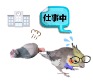 855826104