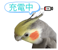 855826106