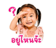 855827912
