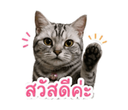855828737