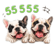 855830561