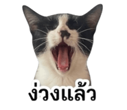 855830668
