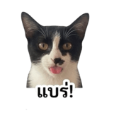 855830671