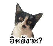 855830672