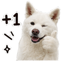 855833305