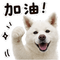 855833307