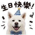 855833310