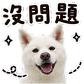855833312