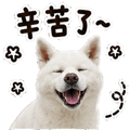 855833313