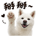 855833318