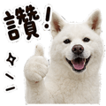855833320