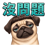 855833497