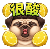 855833871