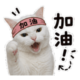 855834763
