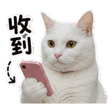 855834767