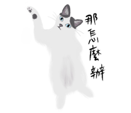 855834988
