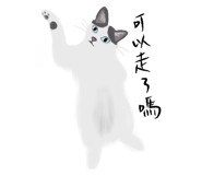 855834989