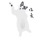 855834990