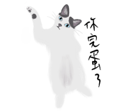 855834991
