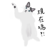 855834992