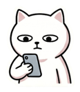 855835007