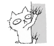 855835581