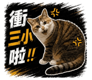 855835625